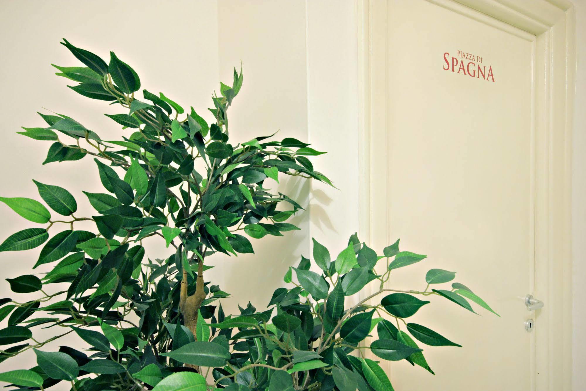 Le Piazze Di Roma Bed & Breakfast Ngoại thất bức ảnh